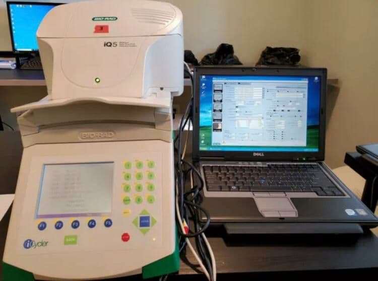 Real-Time PCR