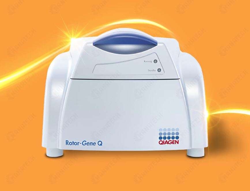 Realtime pcr  Rororgene Q