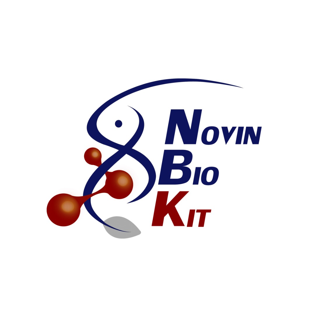 آهن - IRON - NOVIN - کیت - بیوشیمی - نگارین طب بهنام