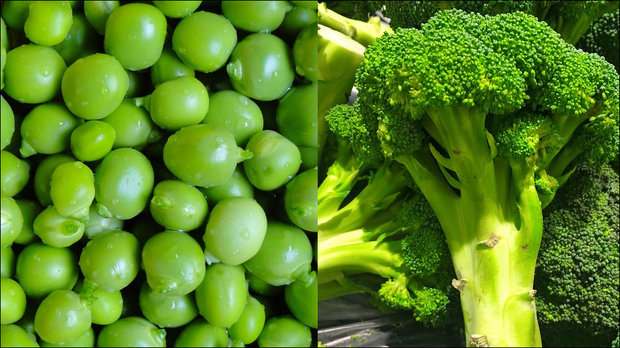 پیشگیری از چاقی با مصرف نخودفرنگی و کلم بروکلی