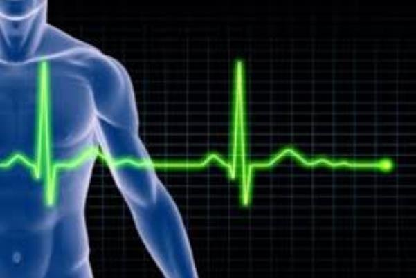 کوتاه قدی در کودکی ریسک سکته در بزرگسالی را افزایش می دهد