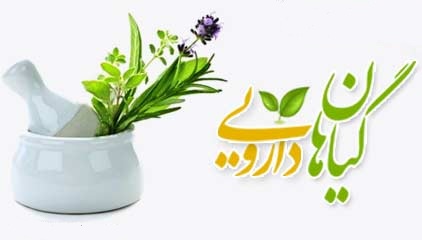 در مصرف گیاهان دارویی دقت و از عوراض جانبی آن پیشگیری کنید