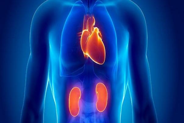 استنشاق اکسید نیتریک در طول جراحی موجب کاهش مشکلات کلیوی می شود