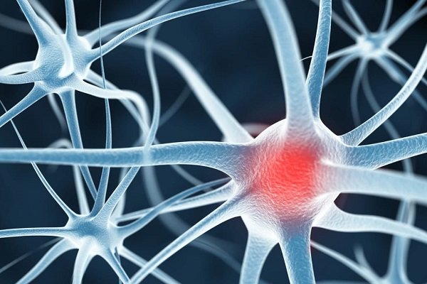 آلزایمر در آزمایشگاه شبیه سازی شد