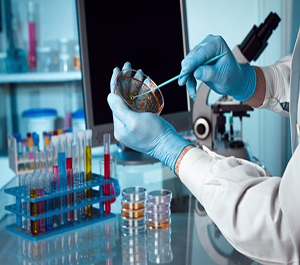 پايش مواد غذايي از نظر آلودگي به آفلاتوكسين ها توسط آزمایشگاه معاونت غذا و دارو دانشگاه ایران