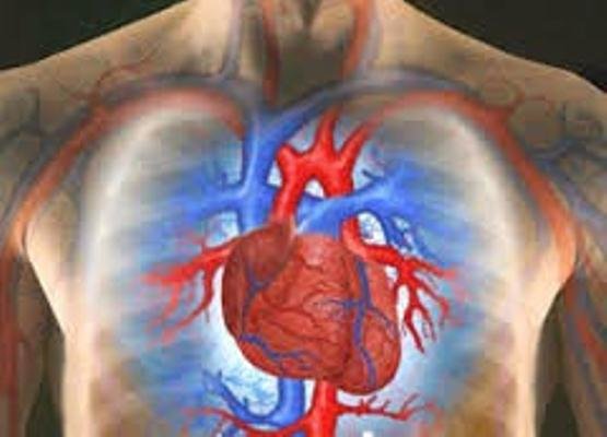 شیوع بیماری های قلبی در کشور/ در پیشگیری برنامه نداریم