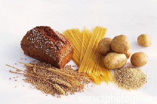 رژیم غذایی کم کربوهیدرات موجب افزایش کالری سوزی می شود