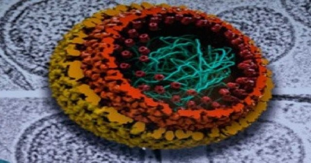 احتمال درمان ایدز با کشف یک مولکول جدید در بدن انسان