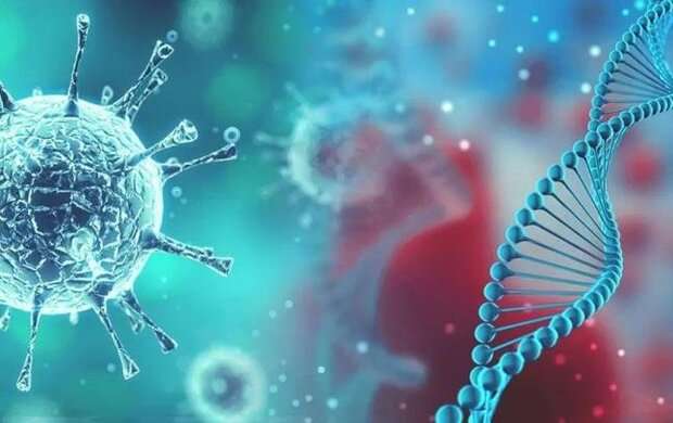 ۱۰۰ جهش ژنتیکی کرونا در ایرانیها بررسی شد/ معرفی پرتکرارترین جهش