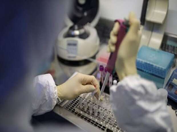 انجام ۴۵۰ هزار تست PCR در استان تهران/وضعیت غربالگری بیماری ها