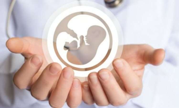 تولید داخلی تجهیزات پزشکی مربوط به حوزه ناباروری/ تولید و حمایت قیمتی چندین‌باره بیمه‌ها از زوج‌های نابارور