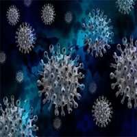 کشف ترکیباتی که از ورود ویروس کرونا به ریه جلوگیری می‌کند