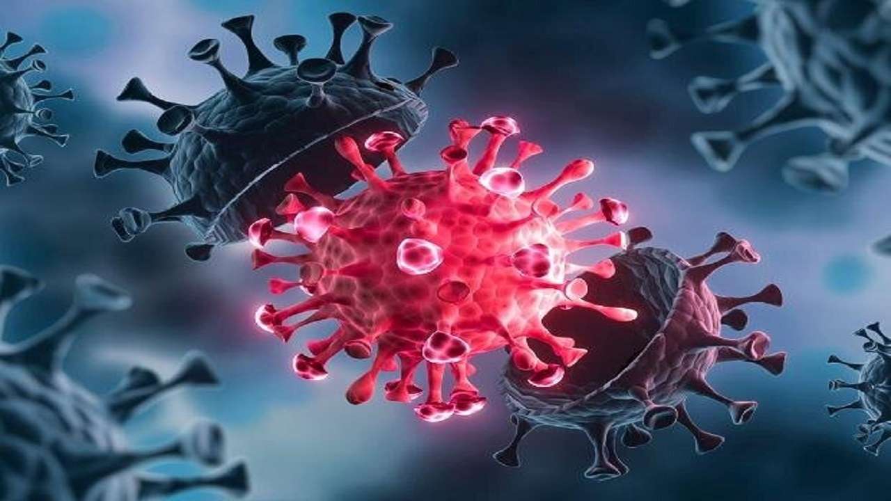 سویه جدید ویروس کرونا در نیجریه شناسایی شد
