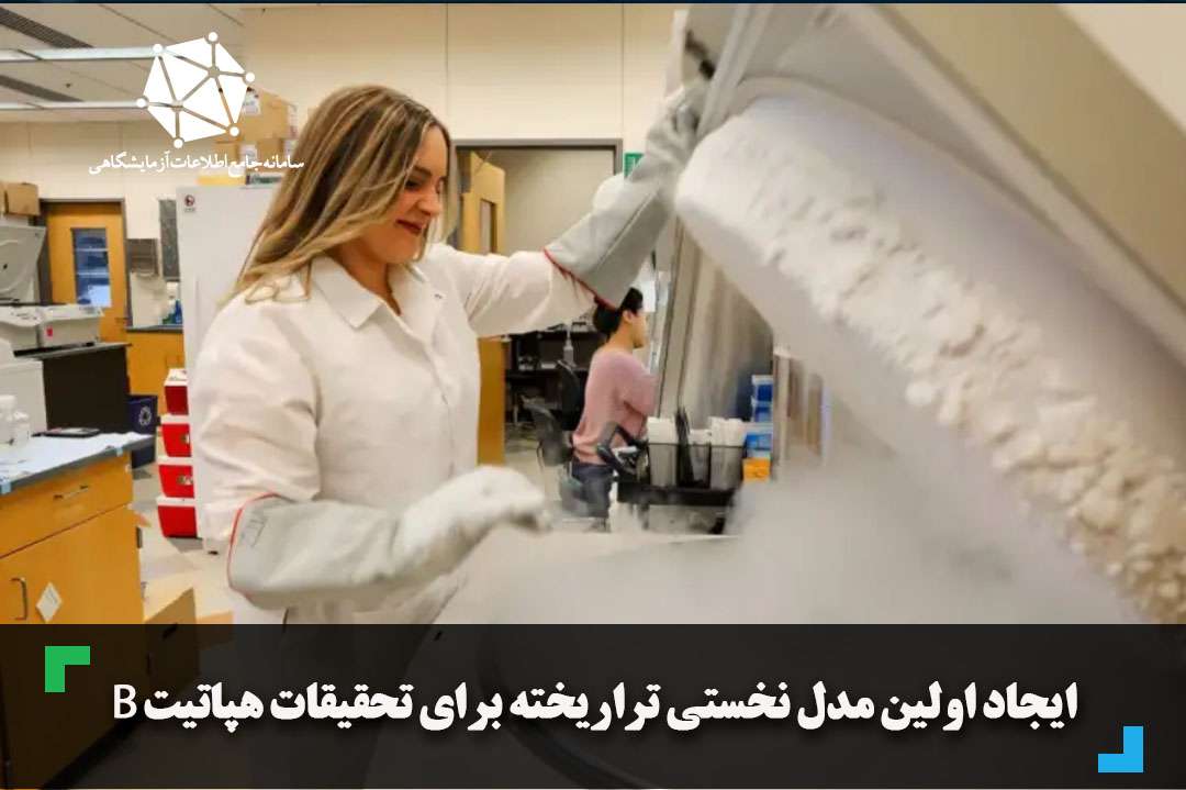 ایجاد اولین مدل نخستی تراریخته برای تحقیقات هپاتیت B