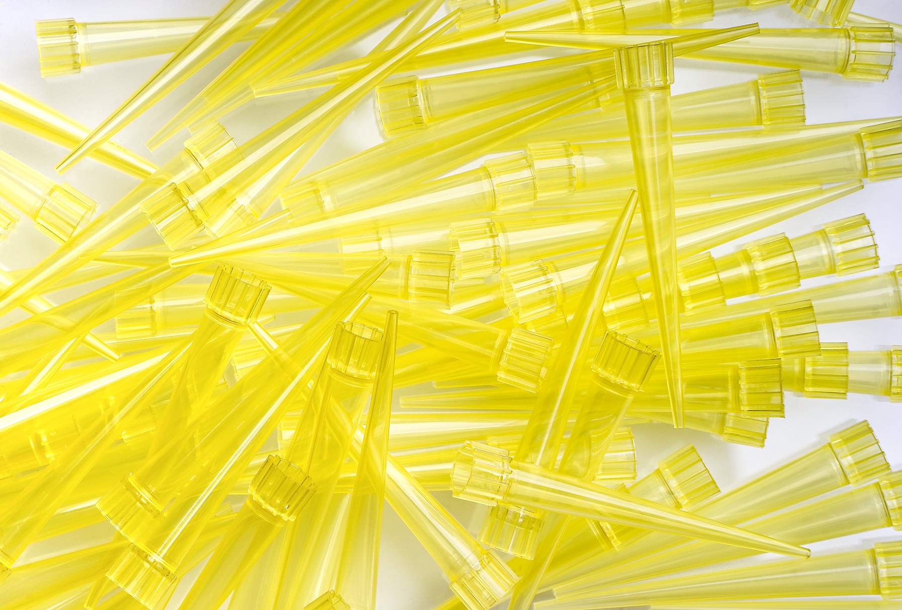 نوک سمپلر 200 لاندا زرد اپندروف - Eppendorf Pipette Tips Yellow Color 200UL - CITOTEST-LABVISION(LV) - مصرفی - نمونه گیری - نوآوران تشخیص طب کاسپین