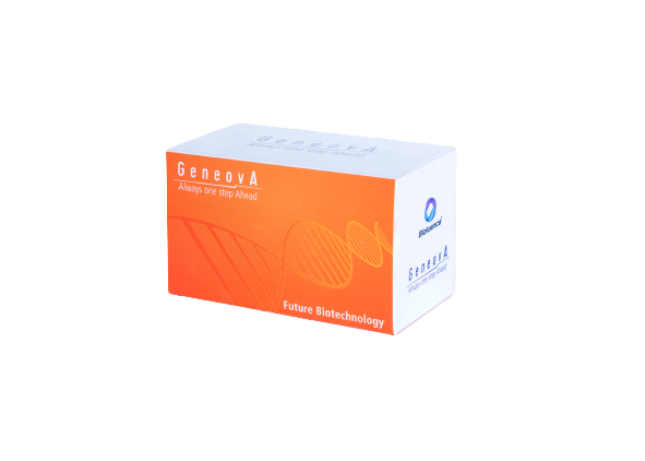 کیت تشخیص همزمان سه ویروس CMV/EBV/ پولیوماویروس BK - GA 6Plex CMV/EBV/BK RT-PCR kit - ژنوا - کیت - سلولی و مولکولی - توسعه بن دا فرآور