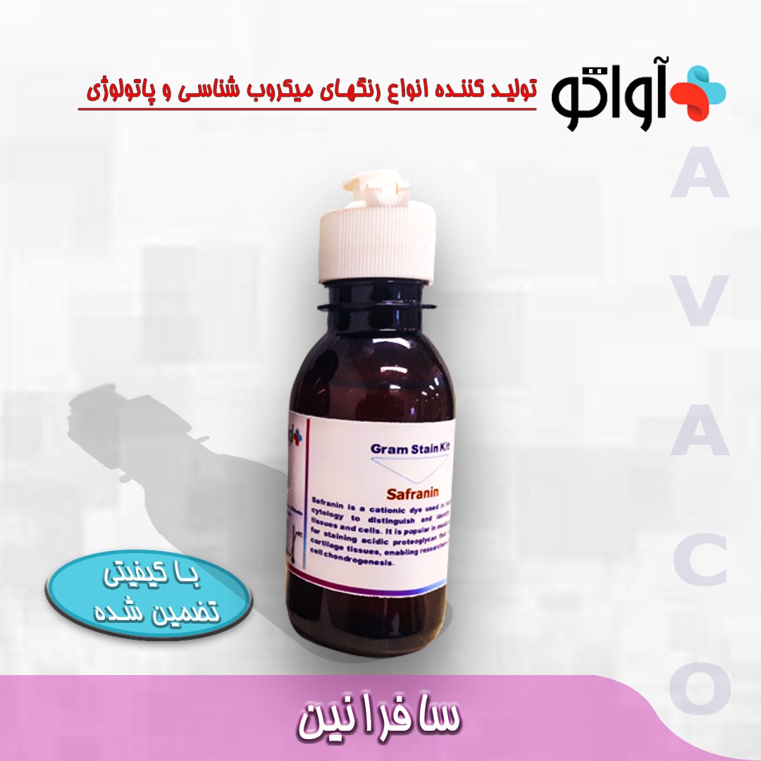 کیت رنگ آمیزی گرم آواتکو - AVATCO Gram kit - آواتکو AVATCO - مصرفی - میکروبیولوژی و انگل شناسی - آزمون و اندیشه تهران