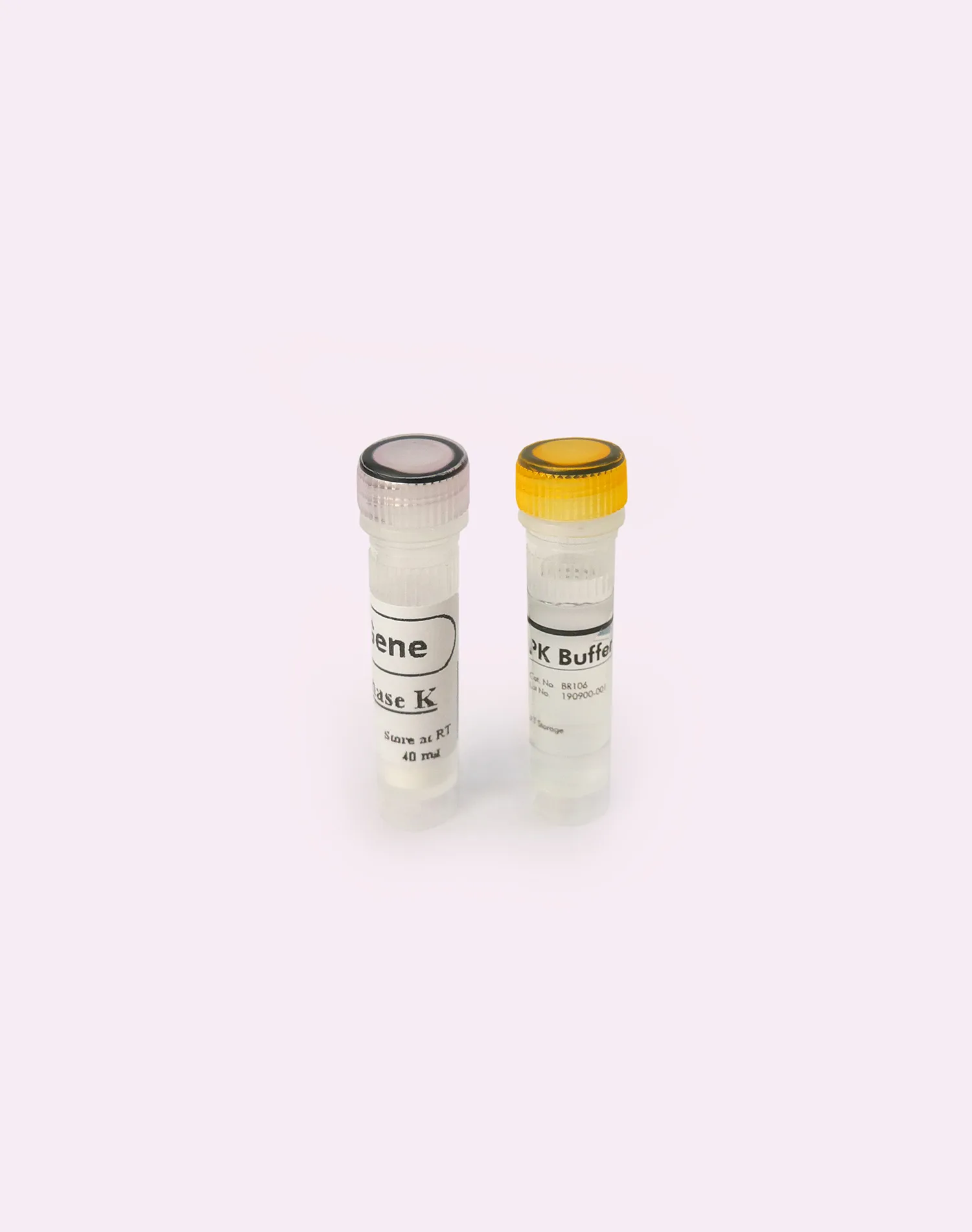 آنزیم پروتئیناز K -  Proteinase K - VistaBehGene - مواد اولیه - آنزیم - شرکت ویستا زیست فناوری به ژن